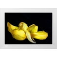 thumbnail image 1 of Putman, Tammy 24x17 White Modern Wood Framed Museum Art Print Titled - Pieces, 1 of 4