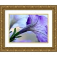 thumbnail image 1 of Putman, Tammy 32x24 Gold Ornate Wood Framed with Double Matting Museum Art Print Titled - Purple Light, 1 of 4