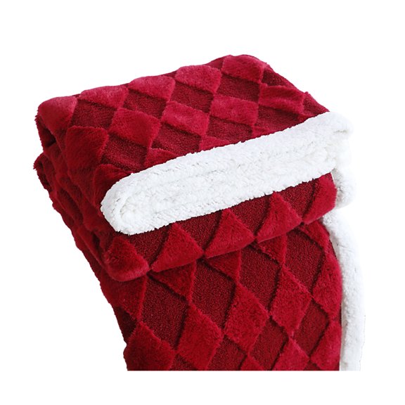 Puwuzcl Soft Lambswool Throw Blanket 39.37x59.06in - All-Season Warm Cozy Blanket for Bed, Couch, Living Room | Decorative & Durable Home Textileï¼Colour as Pictured)