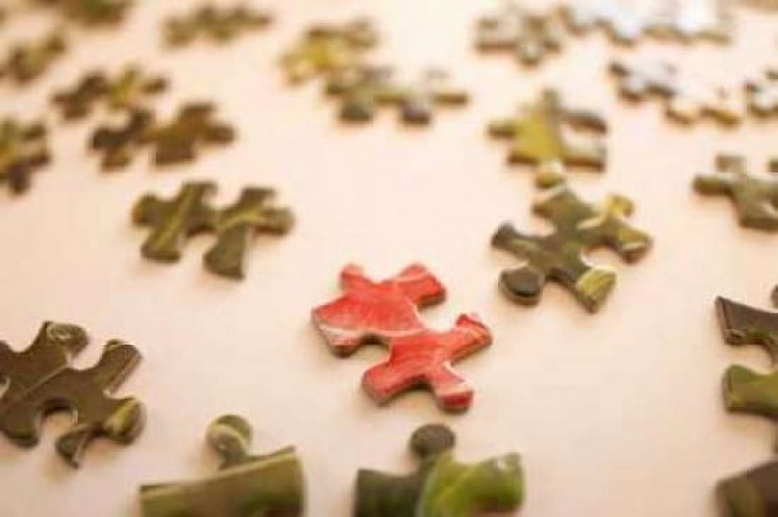 Puzzle IV Canvas Art - Karyn Millet (24 x 36)