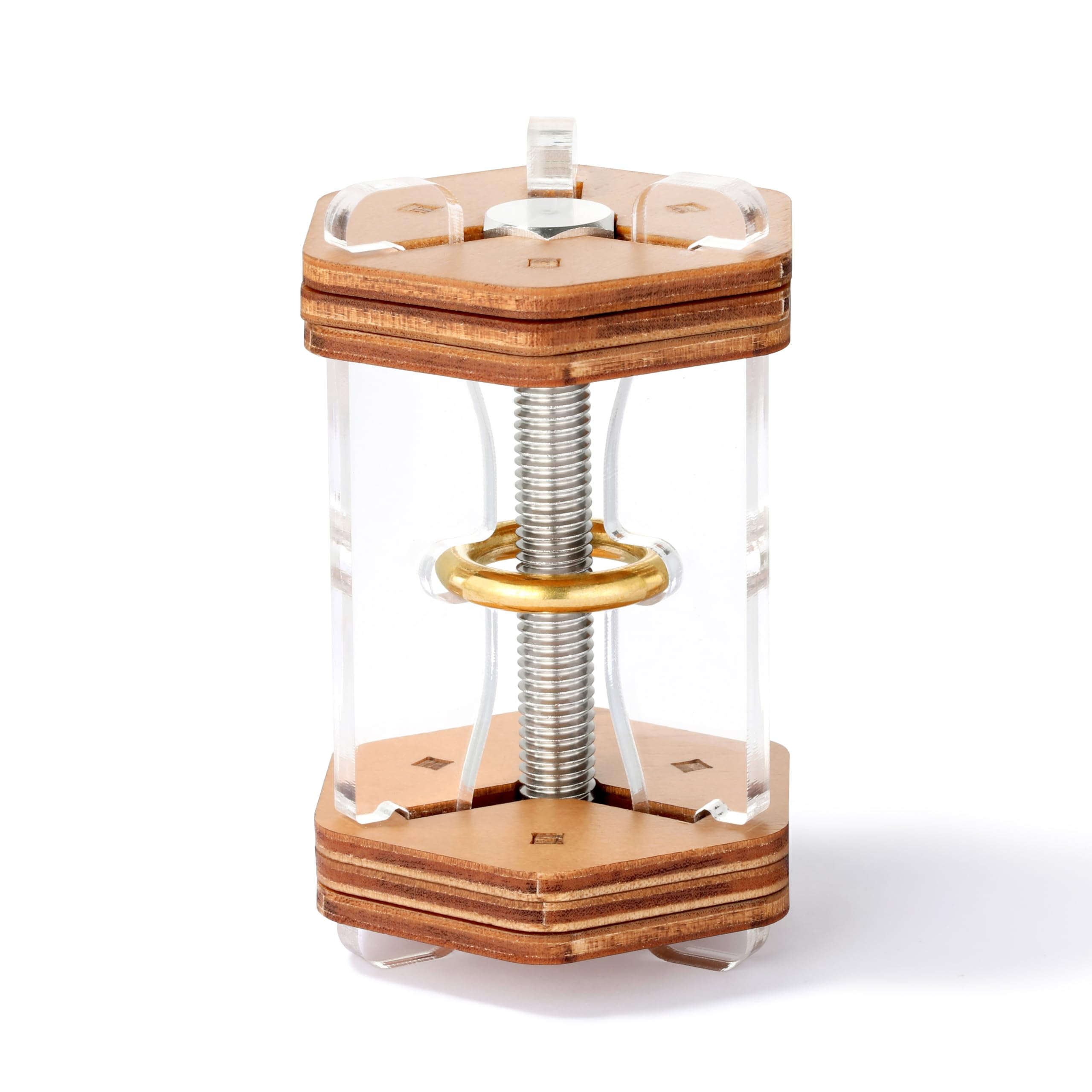 Impossible Gold Ring Puzzle with Wood and Acrylic