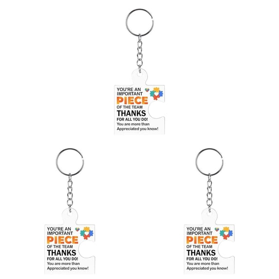 Puzzle Shaped Acrylic Keychain 3 Pack with Motivational Appreciation Text for Employee Coworker Recognition Gift