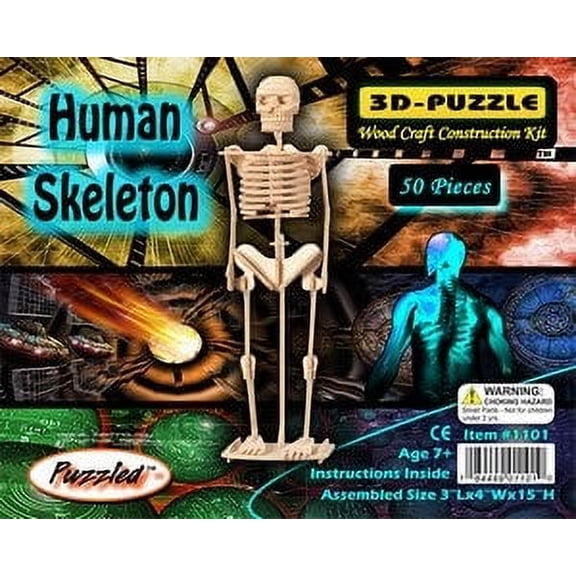 Puzzled 3D Puzzle Human Skeleton Wood Craft Construction Model Kit, Fun & Educational DIY Wooden Toy Assemble Model Unfinished Crafting Hobby Puzzle to Build & Paint for Decoration 50 Pieces Pack