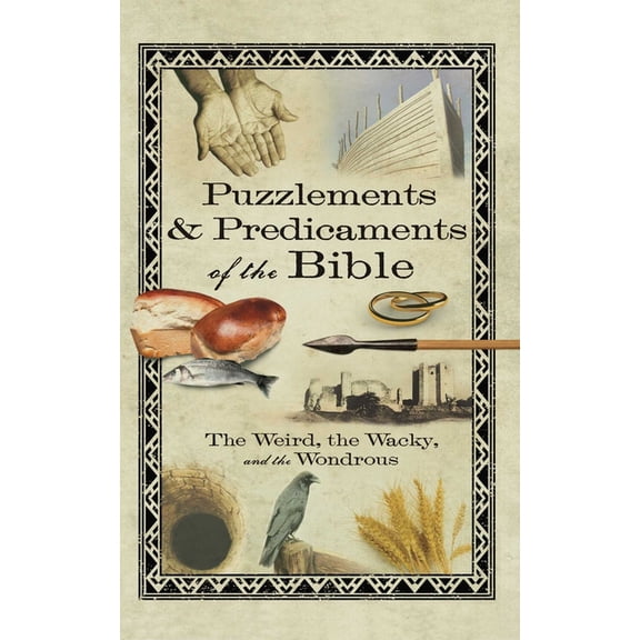 Puzzlements & Predicaments of the Bible, (Paperback)