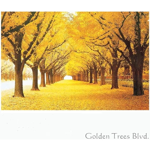 Puzzles 1000 PCS Tranquil - Golden Trees0036- Jigsaw Puzzles for Adult Special Graduation or Birthday Gift Home
