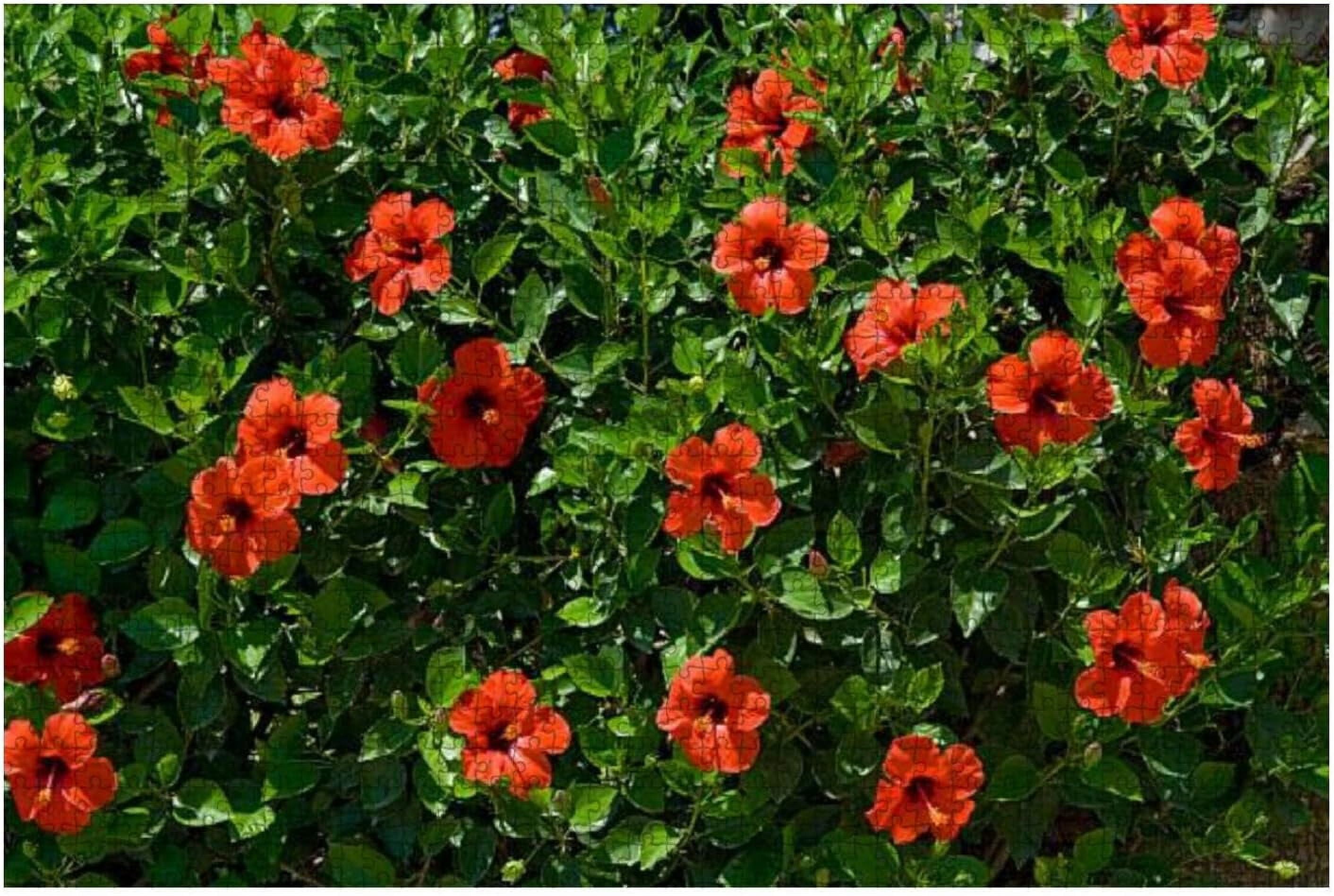 Puzzles 1000 Scene of dambulla Rock Temple in sri Lanka Jigsaw Puzzle