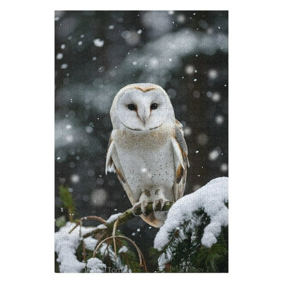 Puzzles for Adults 1000 Pieces - Owl Cold Environment With Dreamy Aesthetic Challenging Jigsaw Puzzle, Daring to Try, Family Entertainment Interactive Fun Jigsaw Puzzle Gifts