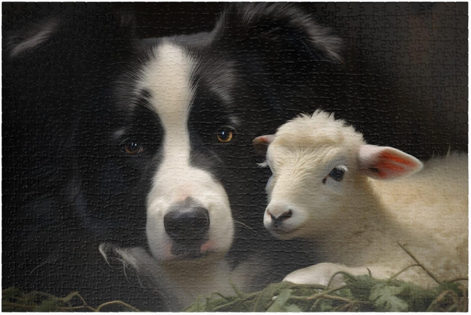 Puzzles For Adults 1000 Pieces Funny Border Collie with Sheep
