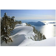 Puzzles For Adults 1000 Pieces Human Snow Under Sunlight Close Up View -Jigsaw Puzzle For Adults Challenging Puzzle Perfect For Game Nights