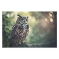 thumbnail image 1 of Puzzles for Adults 1000 Pieces - Owl With Feathers Nature Puzzle Christmas Perfect for Relaxation Activity Difficult Challenging Puzzles, 1 of 6