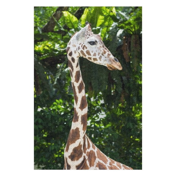 Puzzles for Adults 1000 Pieces - Young Giraffe Zoo Funny Challenging Puzzle Brain Teaser Activity Perfect for Game Nights