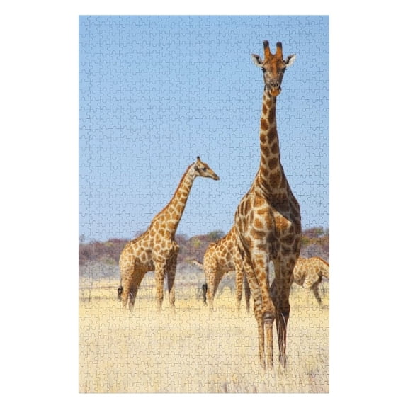 Puzzles for Adults 300 Pieces - Giraffes Funny Puzzles Gift for Birthday Wedding Christmas Halloween