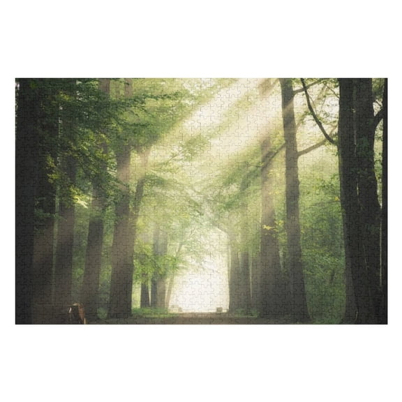 Puzzles for Adults 300 Pieces - Pathway Middle Green Leafed Trees With Sun Shining Through Branches Funny Challenging Puzzle Perfect for Game Nights