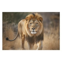 Puzzles for Adults 300 Pieces - Wild Lion Nature Challenging Gift for Puzzle Lovers, Fun Time with Friends, Displayable Wall Decor