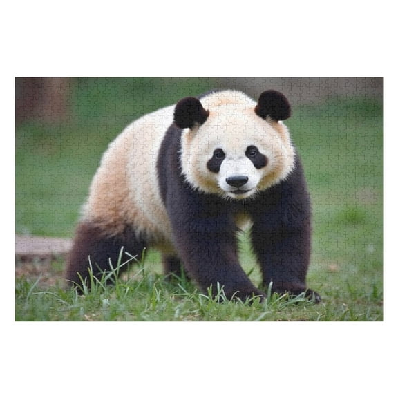 Puzzles for Adults 500 Pieces - Adorable Giant Panda Funny Challenging Puzzle Perfect for Game Nights