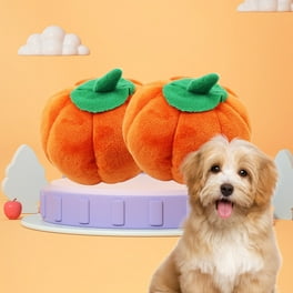 Chew Toy Best Toys For Hyper Dogs Vibrant Life Halloween Squeaky