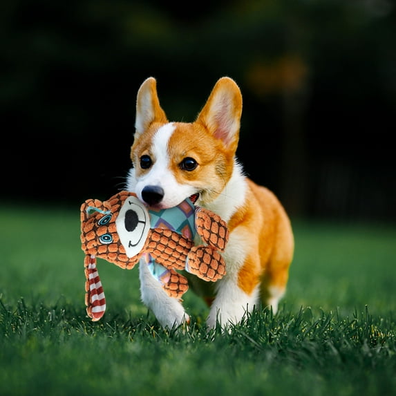 Pyaiiner Puppy Plush Dolls Soundmaking Toys for Teeth Grinding Resistance and Relief Companion Small Dog Teddy Pet Products Gifts