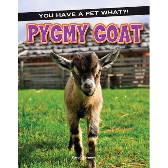 Pre-Owned Pygmy Goat (Hardcover) 9781683421771