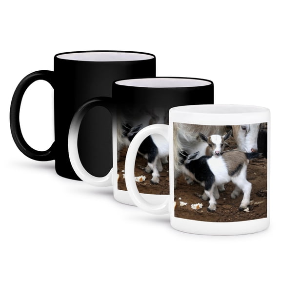 3dRose, Pygmy goat family, 11oz Magic Transforming Mug