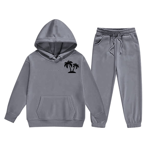 Pyhlmscde Women's Solid Hooded Sweatsuit Sets, Two Piece Sets for Women, Sweatsuits for Women, Women Fall Clothes