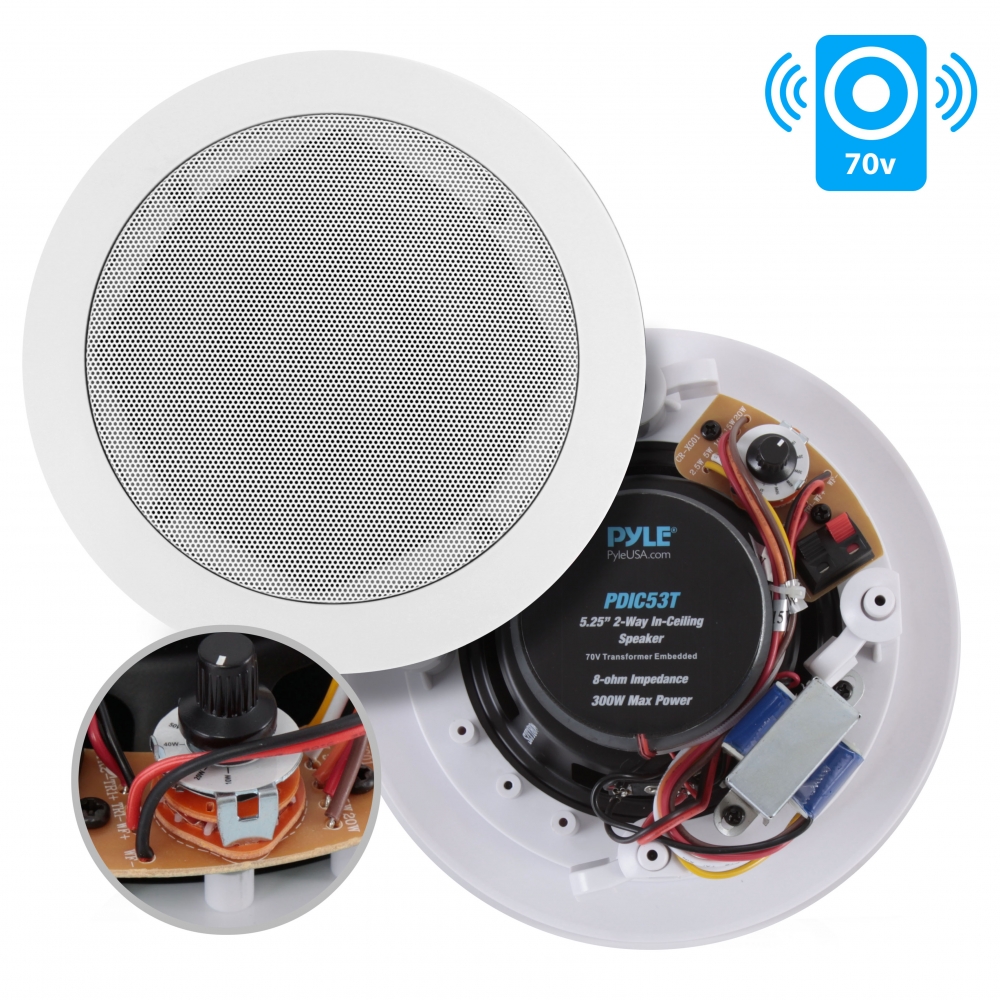 DS18 5.25" Coaxial Speakers 2-Way With Built-In Tweeters - Pair (Refurbished)