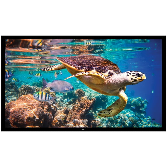 PYLE PRJTPFL122 - Fixed Wall Mount Projector Screen - Universal Home/Office Projector Viewing Display (120’’ -inch)