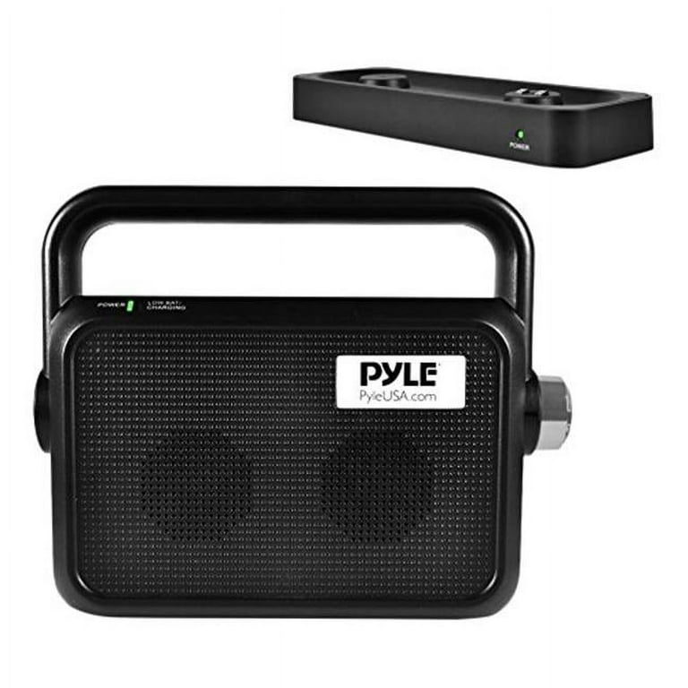 Portable tv speaker shop