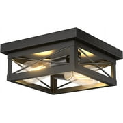 Pynsseu 2 Light Rustic Farmhouse Flush Mount Ceiling Light Industrial Metal Light Fixture Black