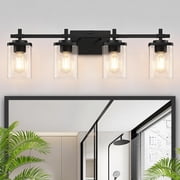 Pynsseu 4-Light LED Vanity Light with Clear Glass Shades Decor for Lighting