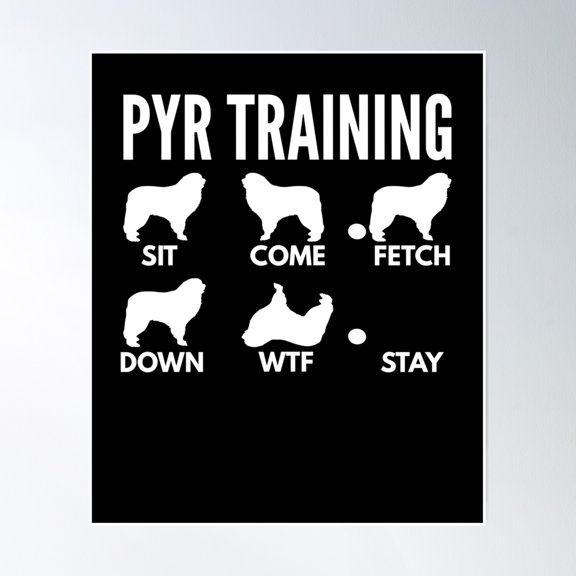 Pyr Training - Pyrenean Mountain Dog Tricks Poster Wall Art, Modern Wall Decor, 16x24 UNFRAMED