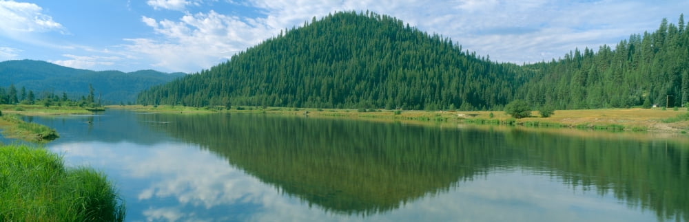 Pyramid of Pines Smith Ferry Idaho Canvas Art - Panoramic Images (36 x 12)