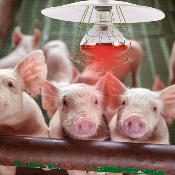 Pyramidti Heat Lamps for Pets Heating Cage Set Pig Accessory