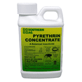 thumbnail image 1 of Pyrethrin Concentrate - Organic Insect Control Made from Chrysanthemums - 8 fl oz Bottle by Southern Ag, 1 of 5