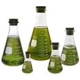 thumbnail image 1 of Pyrex #4980-PACK(RS), Narrow Mouth Erlenmeyer Flask Set with Rubber Stoppers, 5 Sizes - 50, 125, 250, 500, 1000ml, 1 of 6