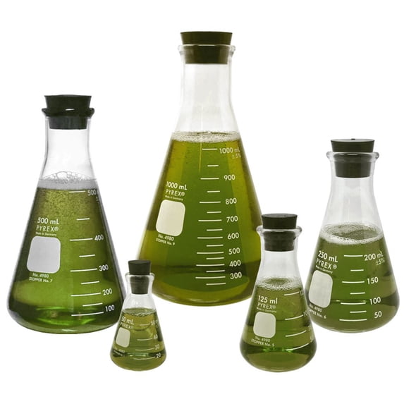 Pyrex #4980-PACK(RS), Narrow Mouth Erlenmeyer Flask Set with Rubber Stoppers, 5 Sizes - 50, 125, 250, 500, 1000ml