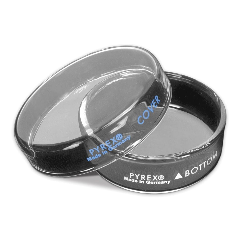 Pyrex, Petri Culture Dish, 100 X 15 Mm