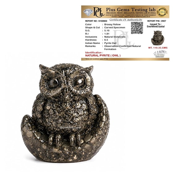Pyrite Owl | Statue for Wealth, Success & Protection | Vastu Showpiece for Home Decor for Living Room & Office Desk | Vastu Items for Good Luck | Housewarming Gift