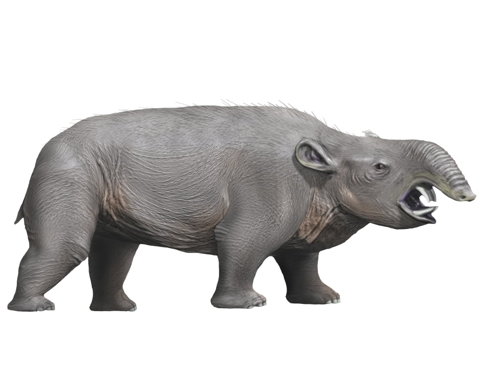 Pyrotherium is an extinct ungulate from the Oligocene epoch Canvas Art - Nobumichi TamuraStocktrek Images (17 x 13)