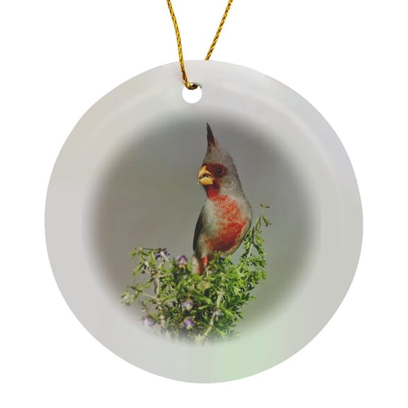 3drose, Pyrrhuloxia Bird, Male in Brush, South Texas, Usa - Us44 Ldi0540 - Larry Ditto, Circle Porcelain Ornament