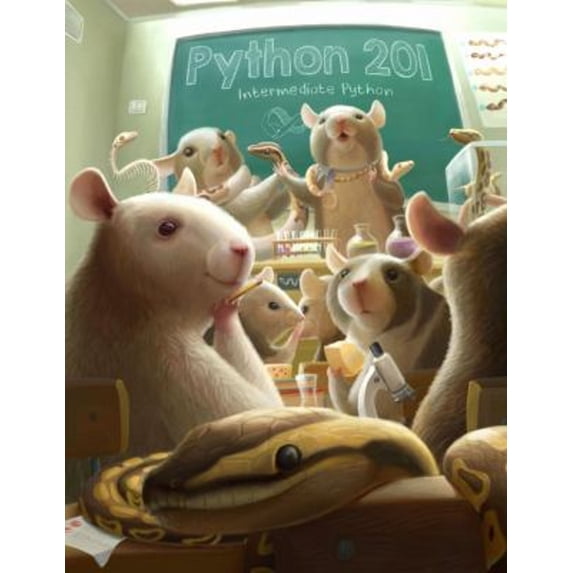 Pre-Owned Python 201: Intermediate Python (Paperback) 0996062831 9780996062831