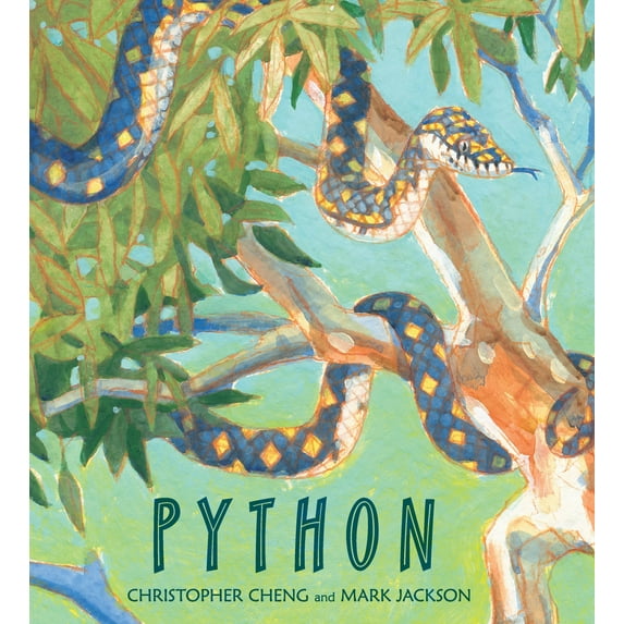 Python