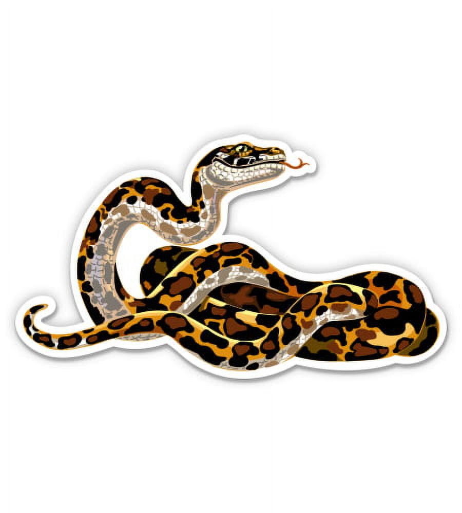 Python Boa - 5
