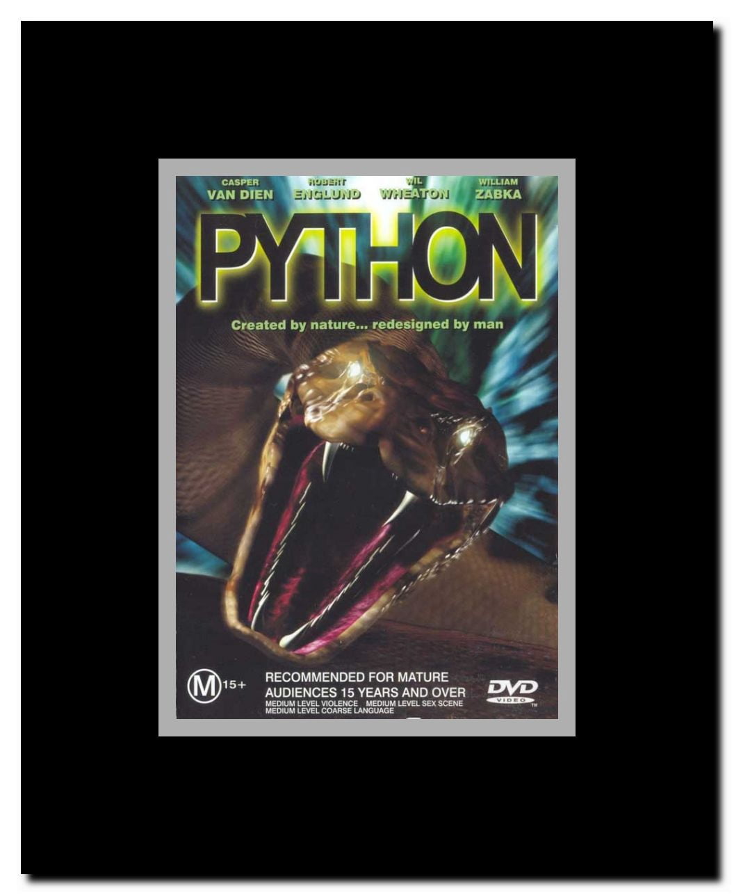 Python Framed Movie Poster