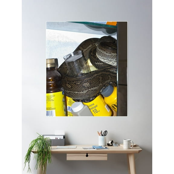 Python In Bathroom #1 Poster Wall Art, Modern Wall Decor For Living Room Bedroom, 24x36 UNFRAMED