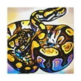 thumbnail image 1 of "Python Pop Art Splendor" - Canvas, 1 of 1