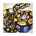 thumbnail image 1 of "Python Pop Art Splendor" - Canvas, 1 of 1