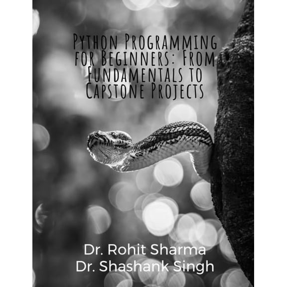 Python Programming for Beginners: From Fundamentals to Capstone Projects, (Paperback)