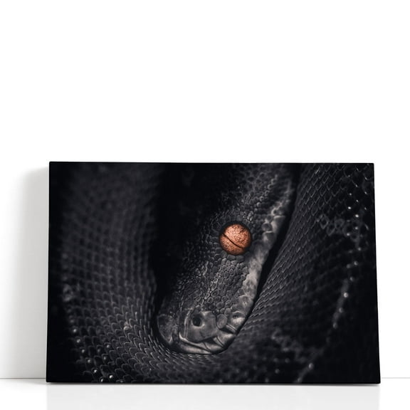 Python Snake Photography - Wrapped Canvas Print Wall Art | 18" W x 12" H