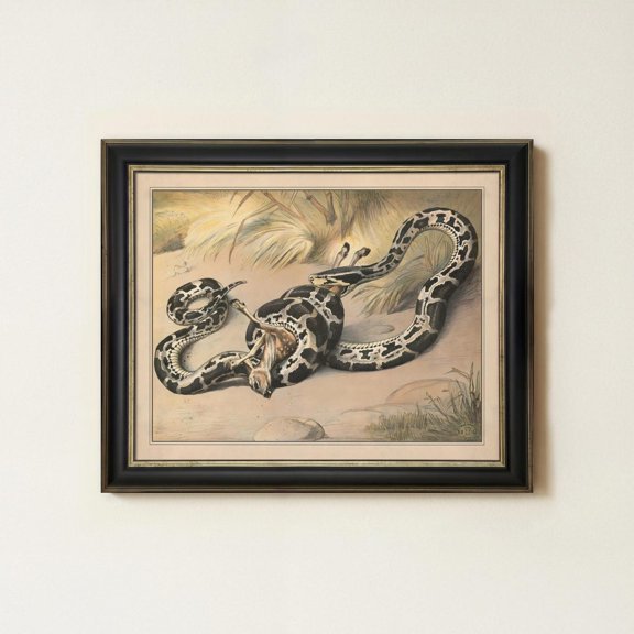 Python Snake Wall Art Print For Rustic Serpent Nature Decor