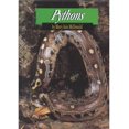 thumbnail image 1 of Pre-Owned Pythons (Animals & the Environment) (Unknown) 1560652969 9781560652960, 1 of 1